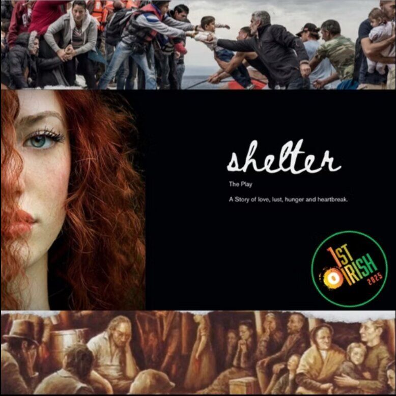 Shelter.jpg